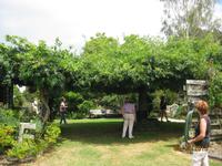 IMG_2694 Zum Barbecue auf der Rosevale Farm