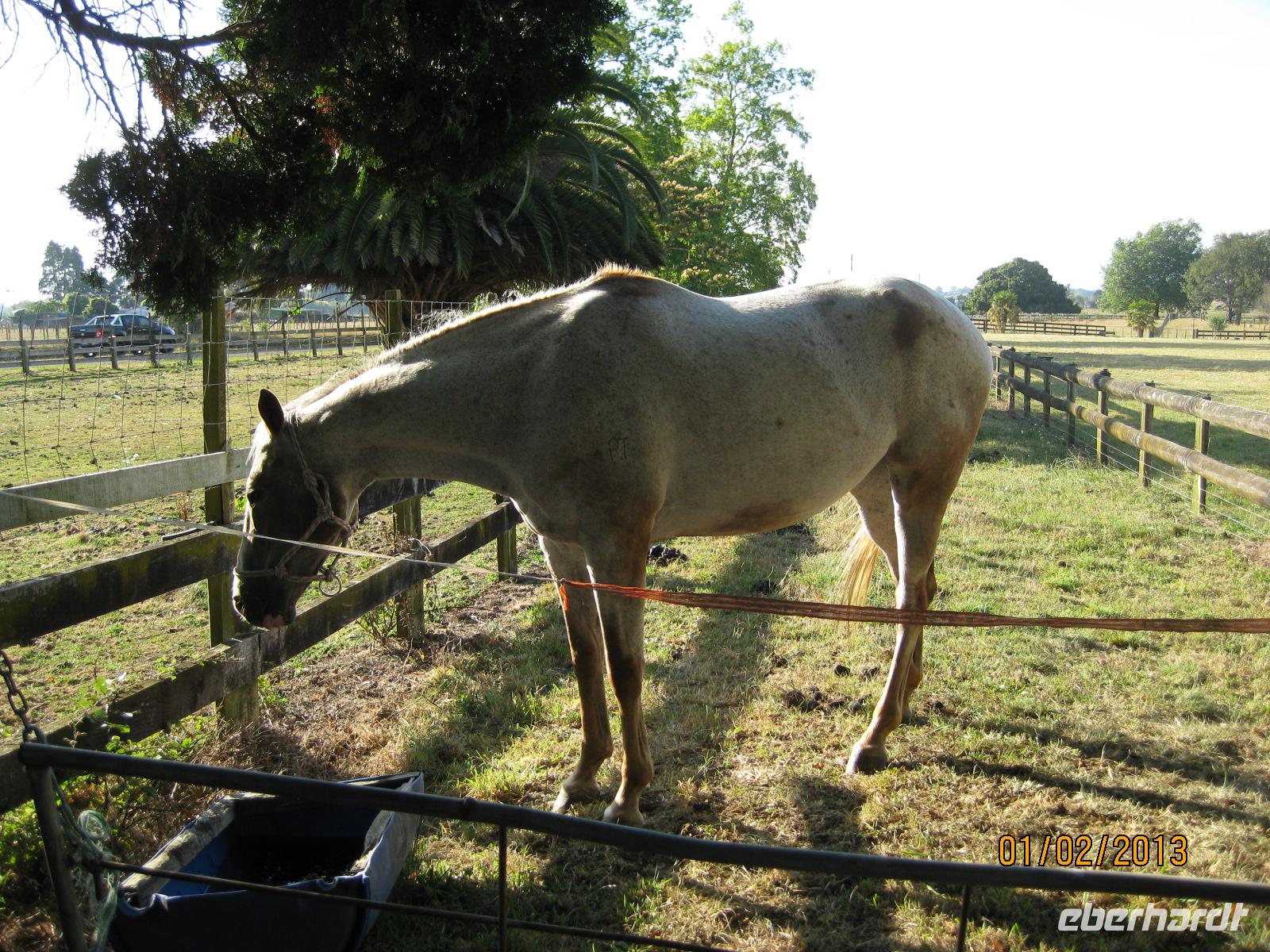 IMG_2712 Unser kurzzeitiges neues zu Hause