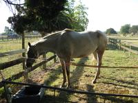 IMG_2712 Unser kurzzeitiges neues zu Hause