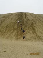 IMG_2737 Sandboarden am Ninty Mile beach