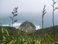 IMG_2745 Cape Reinga