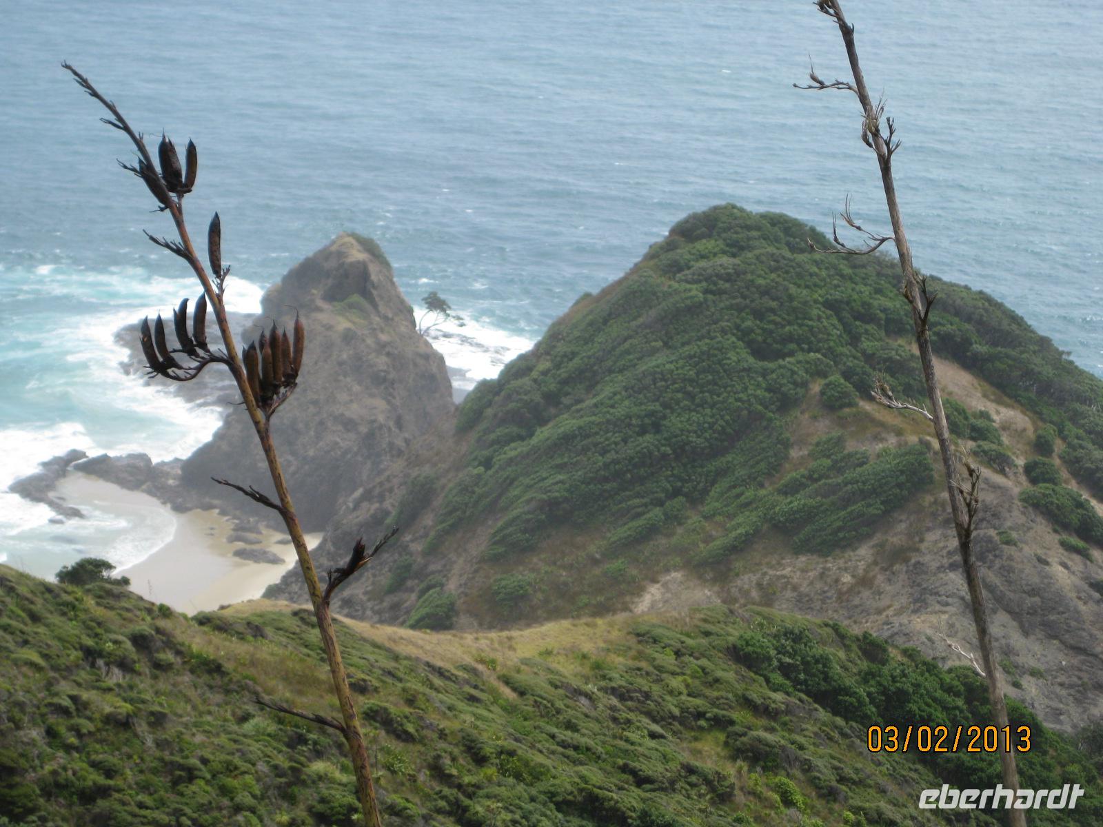 IMG_2760 Cape Reinga
