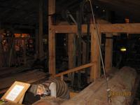 IMG_2789 Zu Besuch im Kauri Museum Matakohe