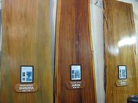 IMG_2796 Zu Besuch im Kauri Museum Matakohe