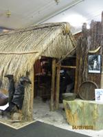 IMG_2798 Zu Besuch im Kauri Museum Matakohe