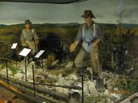 IMG_2801 Zu Besuch im Kauri Museum Matakohe