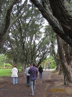 IMG_2817 Zu Besuch im Rosengarten von Auckland