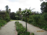 IMG_2823 Zu Besuch im Rosengarten von Auckland