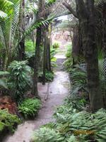 IMG_2832 Zu besuch in den Wintergardens von Auckland
