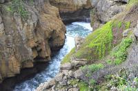 An den Pancake Rocks von Punakaiki