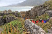 An den Pancake Rocks von Punakaiki