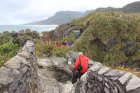 An den Pancake Rocks von Punakaiki