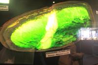 Im Jade-Geschäft in Hokitika