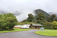 Primärer Regenwald in Fox