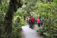 Weg zum Thunder Creek