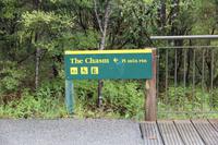 Wanderweg in den Regenwald