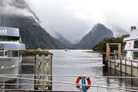 Ankunft am Milford Sound