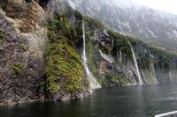 Wasserfälle an den Fjorden im Milford Sound