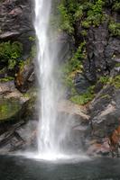 Wasserfall an den Fjorden im Milford Sound
