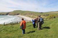 Wanderung zu den Pinguinen