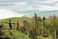 Wanderung zu den Pinguinen