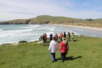 Wanderung zu den Pinguinen