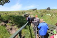 Pinguin-Station bei Dunedin