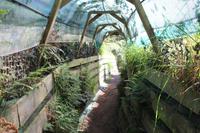 Pinguin-Station bei Dunedin