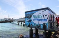 Bootsfahrt in der Bucht von Dunedin