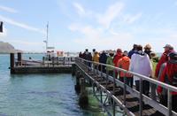 Bootsfahrt in der Bucht von Dunedin