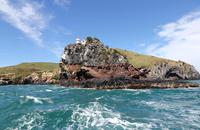 Bootsfahrt in der Bucht von Dunedin