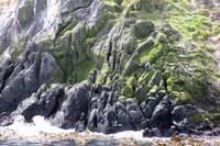 Bootsfahrt in der Bucht von Dunedin