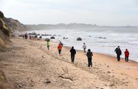 Besuch der Moeraki Boulders an der Ostküste