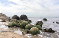 Besuch der Moeraki Boulders an der Ostküste