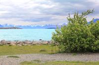 Frühling am Tekapo-See