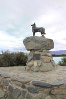 Hütehund-Denkmal am Tekapo-See
