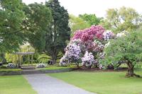 Im Botanischen Garten von Christchurch