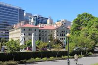 Das grösste Holzhas der Welt in Wellington