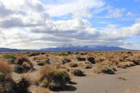 Vulkan Ngauruhoe im Tongariro-Nationalpark