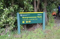 Auf zur Wanderung mit den Maoris