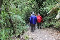 Auf zur Wanderung mit den Maoris