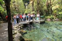 Im Rainbow Springs Park Rotorua