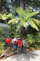 Im Rainbow Springs Park Rotorua
