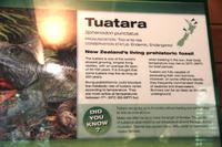 Im Rainbow Springs Park Rotorua