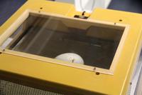 Kiwi-Ei mit Schnabelspitze