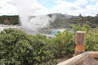 Geothermalgebiet Te Puia in Rotorua
