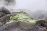 Geothermalgebiet Te Puia in Rotorua