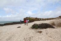 Am Ninety Mile Beach