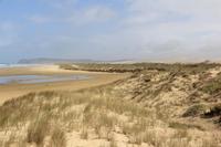 Am Ninety Mile Beach