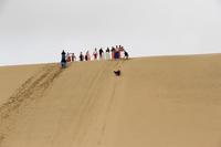 Sandboarden an den Dünen
